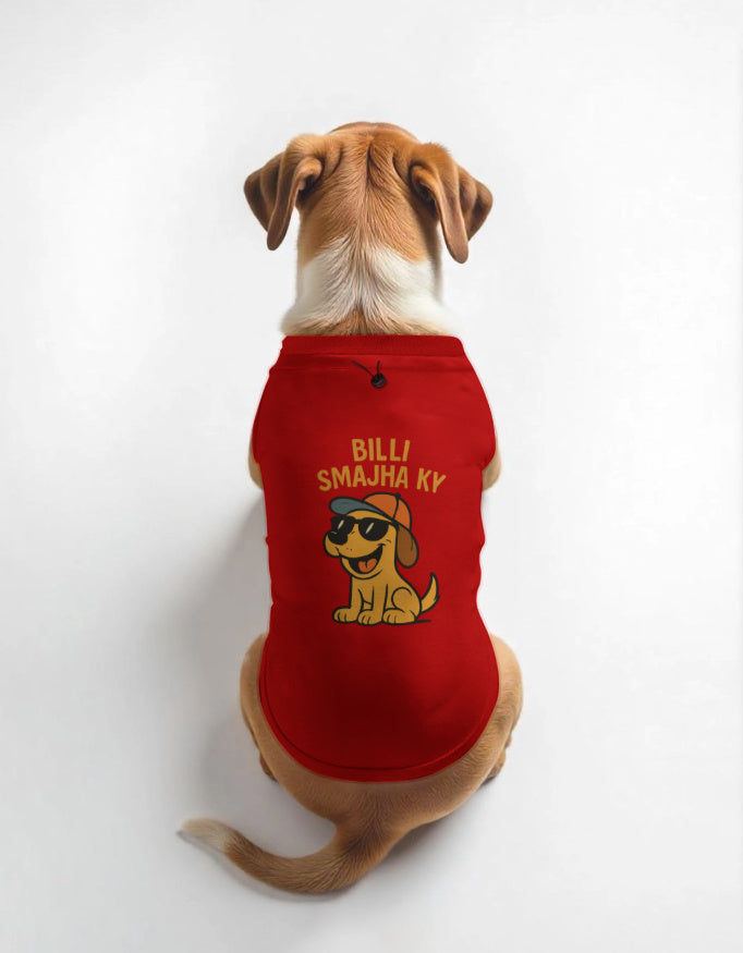 Dog wearing a red shirt with a cartoon character and billi samjha ky text on a white background