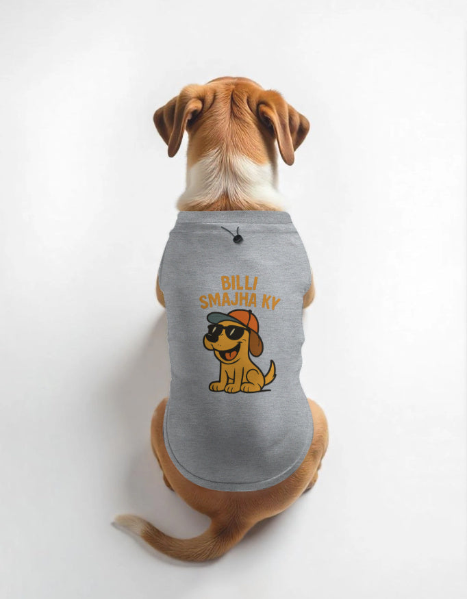 Dog wearing a gray shirt with a cartoon dog design and text on a white background