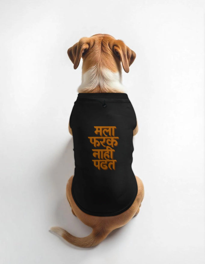Dog wearing a black shirt with orange text on a white background