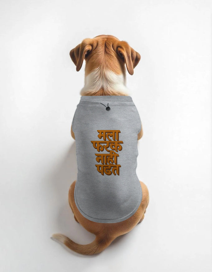 Dog wearing a gray shirt with text on a white background