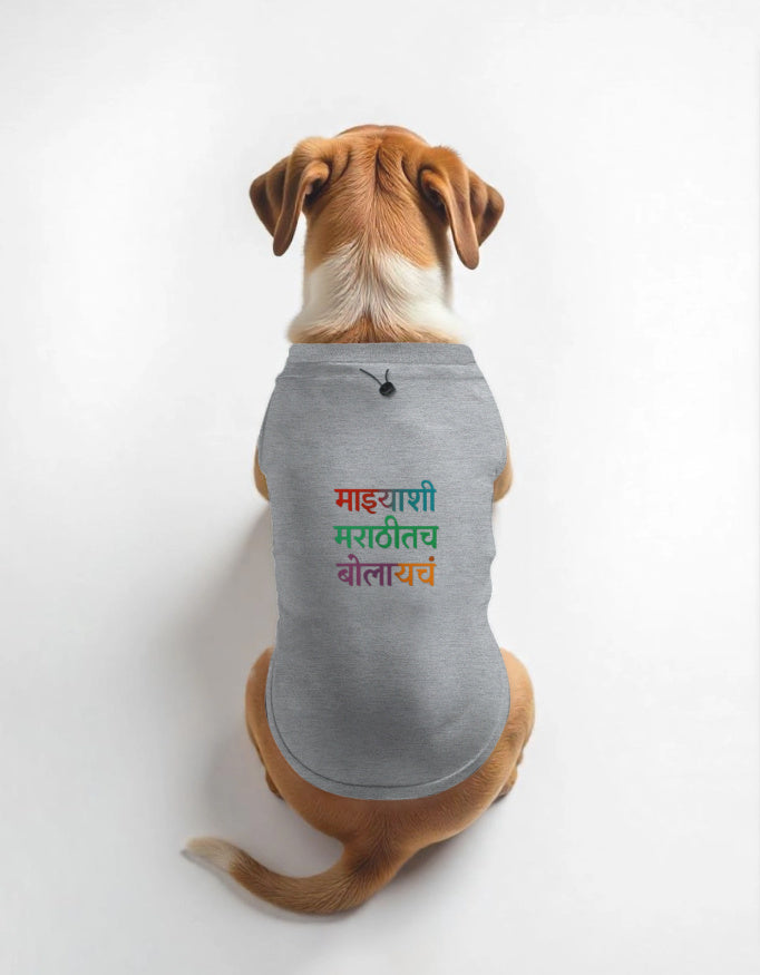 Dog wearing a gray t-shirt with colorful text on a white background